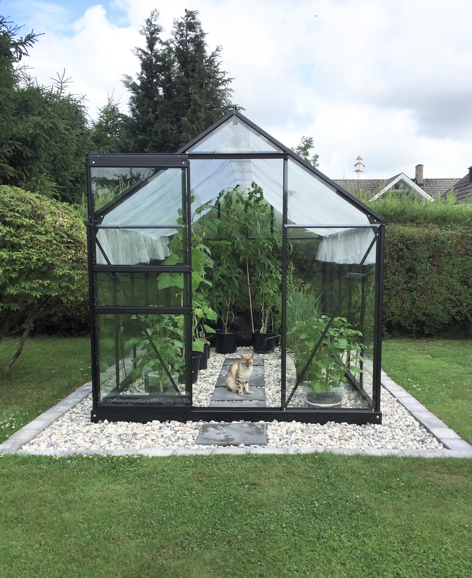 Drivhus Neptunus - 6,2 m� - Herdet glass + Kanal plasttak