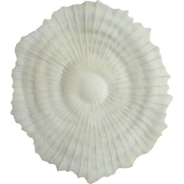 Korall veggdekorasjon D 48 cm - Lys Korall veggdekorasjon D 48 cm - Lys