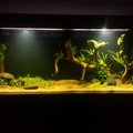 LED-flombelysning (1500 lm) LED-flombelysning (1500 lm)