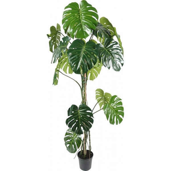 Monstera kunstig plante 180 cm Monstera kunstig plante 180 cm
