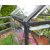 Canopia Harmony Drivhus i polykarbonat 4,6 m - Mrk grtt/klart glass