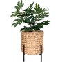 Antas gryte - Beige/svart Antas gryte - Beige/svart
