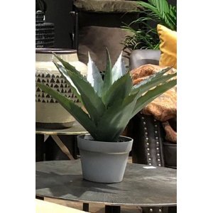 S�ndag kunstig plante 45 cm - Alovera