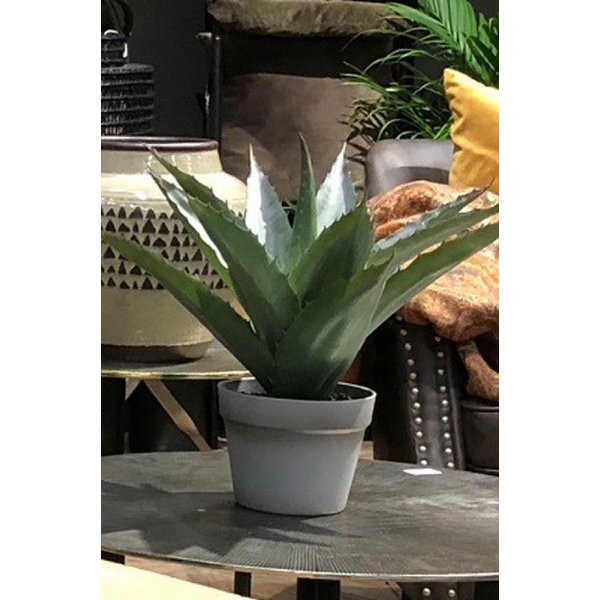 Søndag kunstig plante 45 cm - Alovera Søndag kunstig plante 45 cm - Alovera