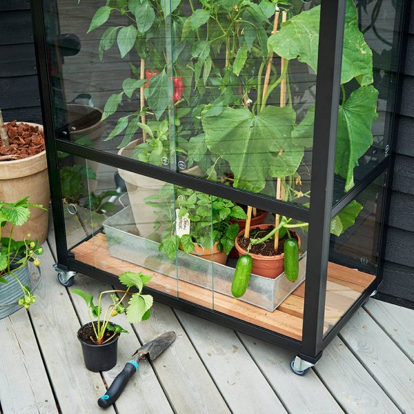Drivhus City Green House