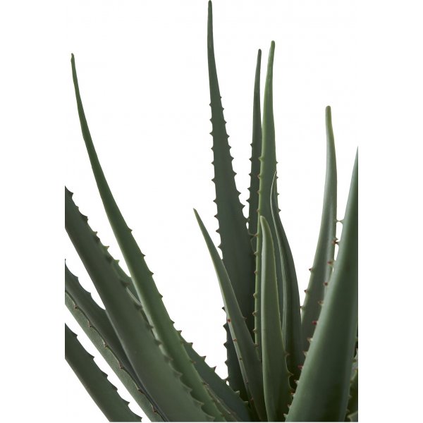 Aloe Vera kunstig plante - H:51 cm - Gr�nn