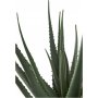 Aloe Vera kunstig plante - H:51 cm - Gr�nn