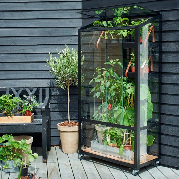 Drivhus City Green House