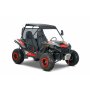 Beach Buggy 180 cc | 4-takts, 2 seter, elektrisk start