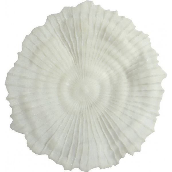 Korall veggdekorasjon D 56 cm - Lys Korall veggdekorasjon D 56 cm - Lys