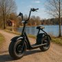 Elscooter Fatbike - 1000W